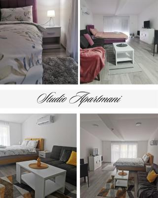 Studio apartmani Banja Koviljaca