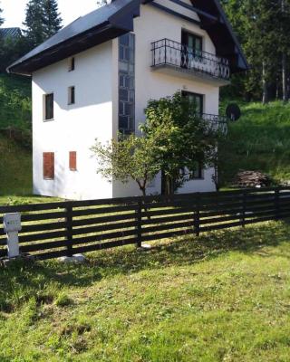 Apartmani Vila Šljukić