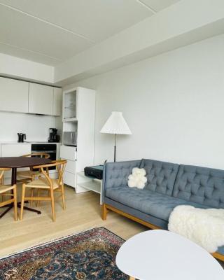 ApartmentInCopenhagen Apartment 1549