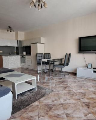 Luxury Apartment VLADISLAV