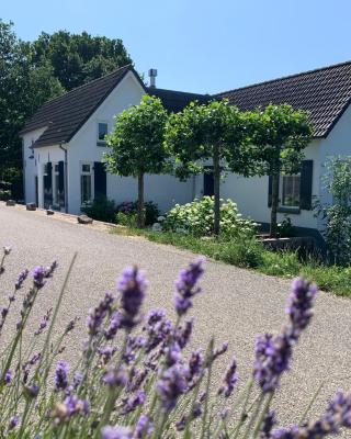 Luxury Guest House - Eik aan de dijk