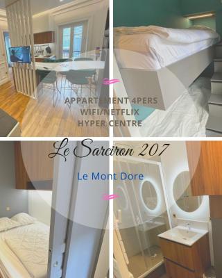 Appartement en hypercentre Mont Dore