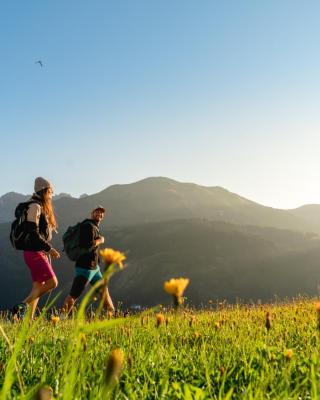 Alpenhotel Wanderniki