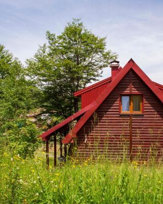 D&S Kovacevic Apartments Zabljak