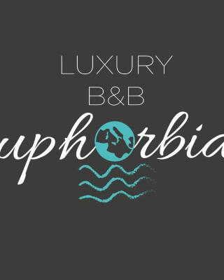 Luxury B&b Euphorbia