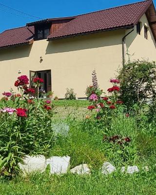 Pensiunea ,,Suciu"