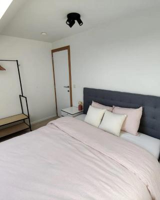 Bel-etage Bruges Homestay - Free parking - Entire floor