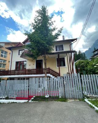 CONSTANTINESCU A.