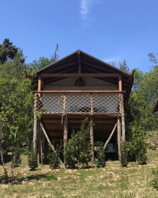 AgriGlamping La Diaccia