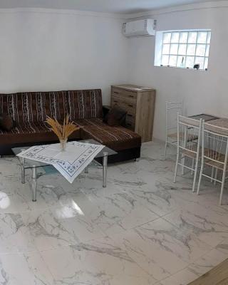 Anchorage Apartment in Rachoni