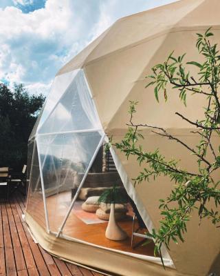Glamping geodesic dome in secluded eco retreat
