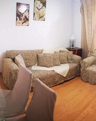 Vivi's House