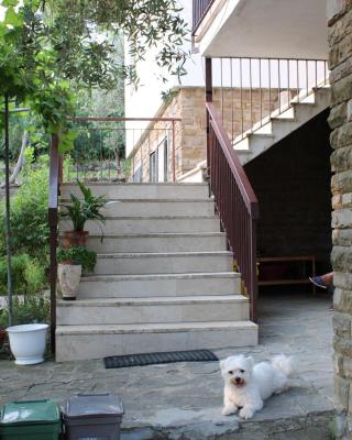 BELLA VISTA BOLOGNESE
