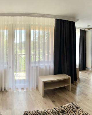 Hotel Intourist