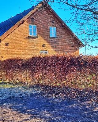 Quiet and cozy apartment close to nature in villa.