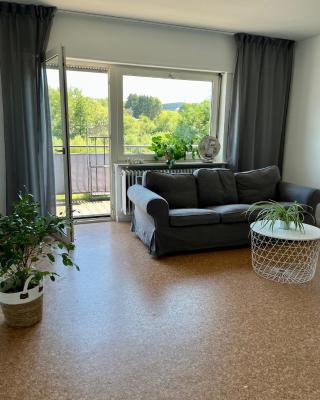 Ferienwohnung Wiesenblick