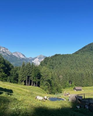 Apartment Hochsteinalm