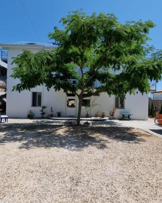 Harmony Villa