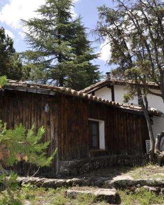 La cabaña del Burguillo