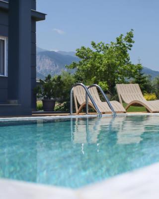 Zeusplace Pool Villa Olympus Riviera