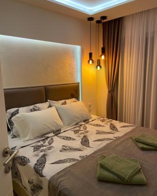 Soul Apartment Vrnjačka Banja