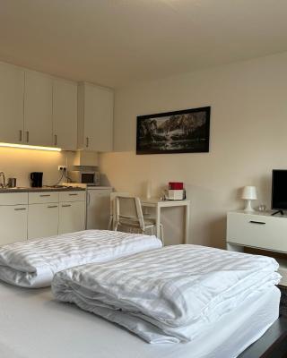 Studio Apartment near Linz Main Train Station