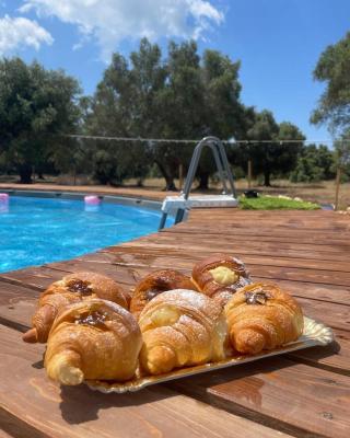 Dimora Aminidelo