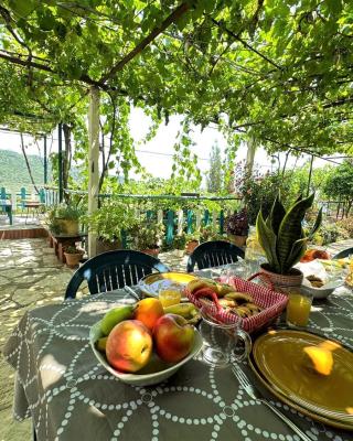 Boungainvillea