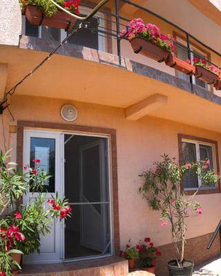 Casa Dasoveanu