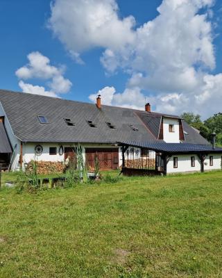 Přemyslovský dvůr