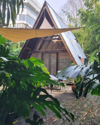 A-frame Studio in Parnell