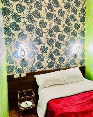 Magenta Roma house