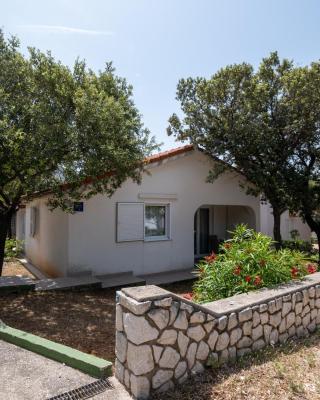 Apartments with a parking space Mandre, Pag - 16836