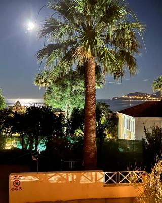 Cannes Villa Francia