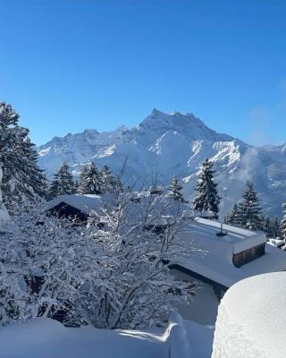 Villars Alpine Heaven - Ski In