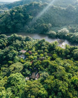 Taironaka Ecolodge