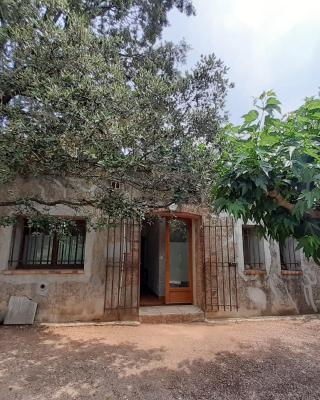 Le Grand Saint Mitre