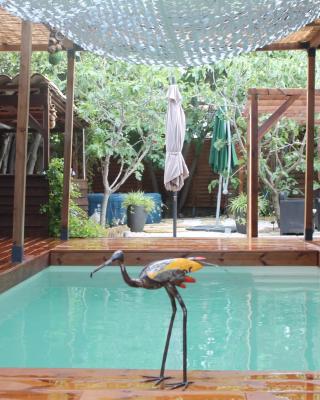Les 2 Drôles d'Oiseaux