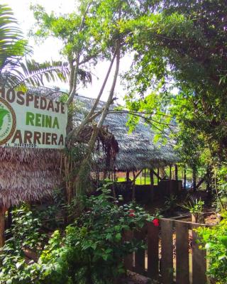 Hospedaje y tours Reina Arriera amazonas colombia