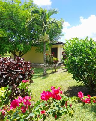 TOP RATED - Lake View Arenal Suite - 2025 Traveller Awards Winner