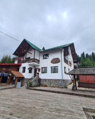 Vila Vitalis
