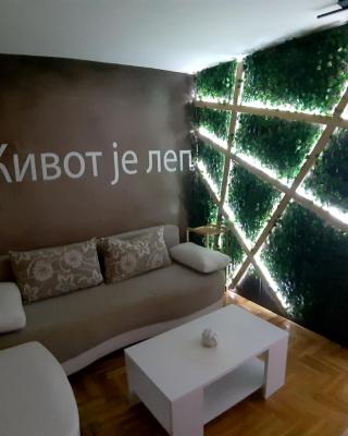 SPA apartments Kraljevo