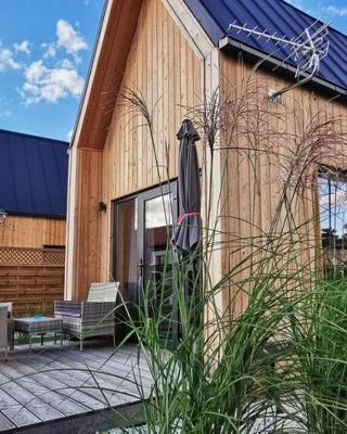 Widok na Śnieżkę - domki całoroczne