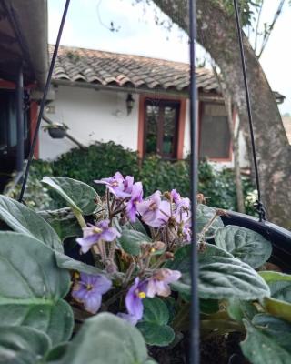 Hotel Boutique Casabella