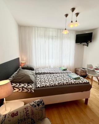 Apartmán u lesa, Srní 119