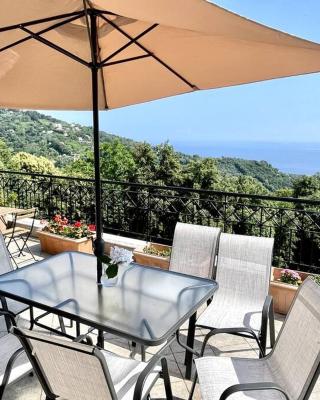 EcoLodge Delmar