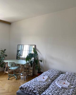 Soukromý pokoj v třípokojovém bytě - Private room in three room flat