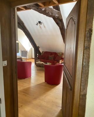 Loft duplex de charme 8 p plein centre