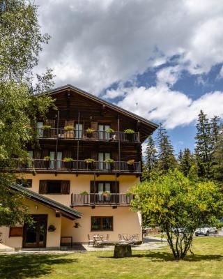 Alpine Forest Hotel