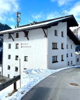Apart Alpenrose Spiss